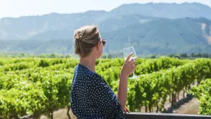 Marlborough Icons